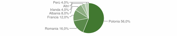Grafico cittadinanza stranieri - Perrero 2010
