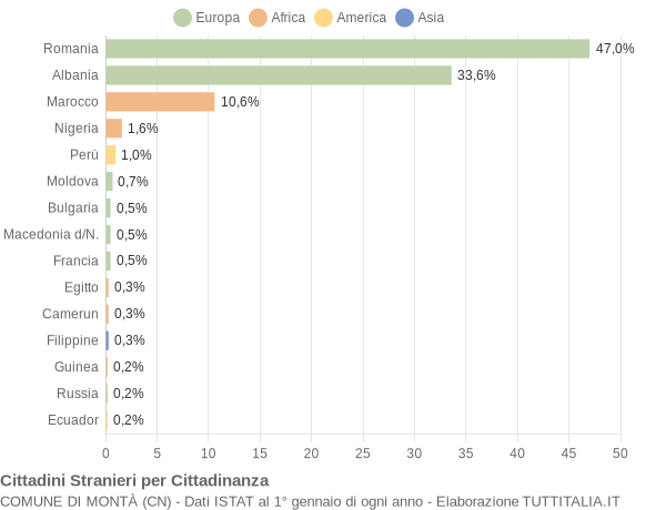 Grafico cittadinanza stranieri - Montà 2022