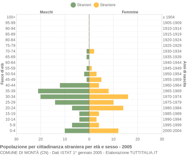 Grafico cittadini stranieri - Montà 2005
