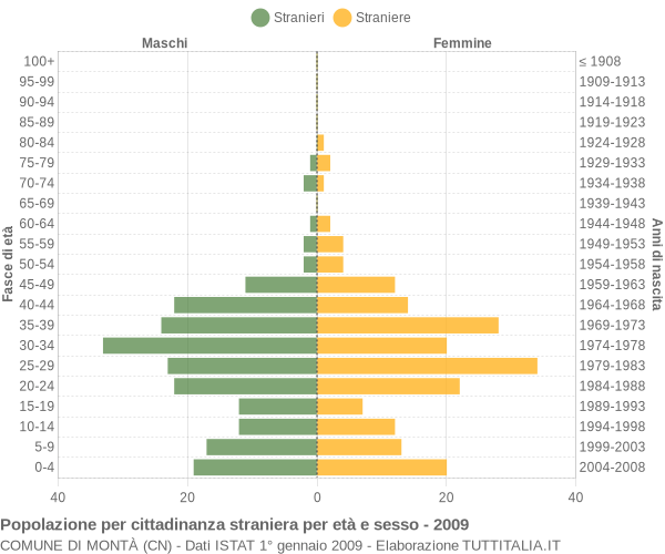 Grafico cittadini stranieri - Montà 2009