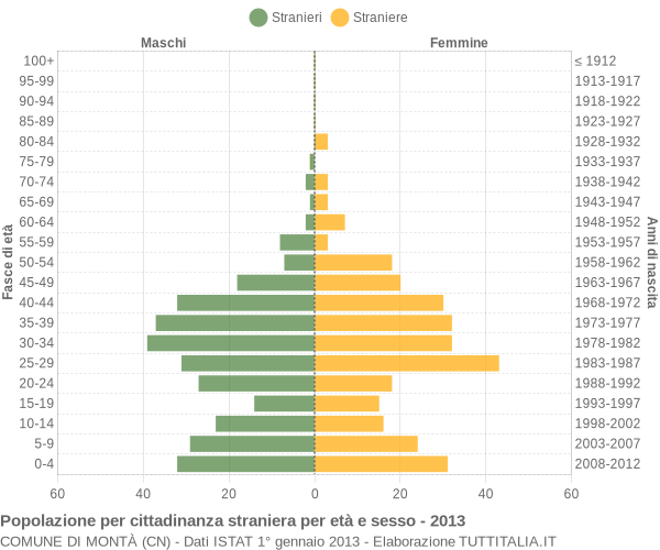Grafico cittadini stranieri - Montà 2013