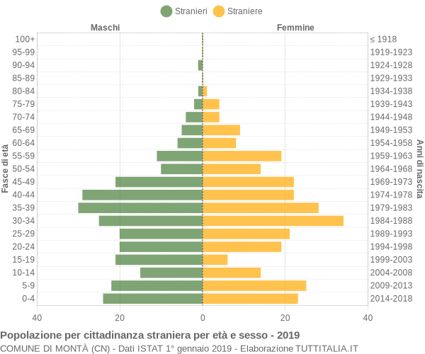 Grafico cittadini stranieri - Montà 2019