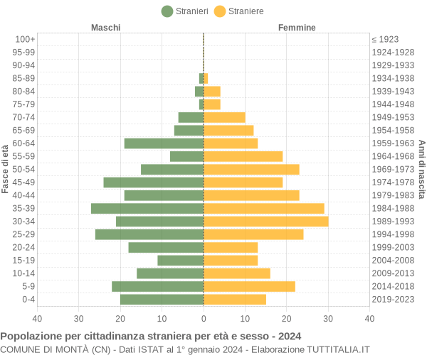 Grafico cittadini stranieri - Montà 2024