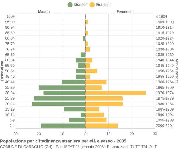 Grafico cittadini stranieri - Caraglio 2005