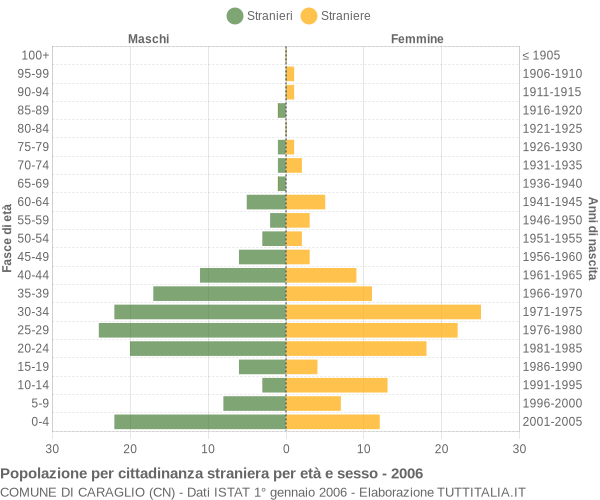 Grafico cittadini stranieri - Caraglio 2006