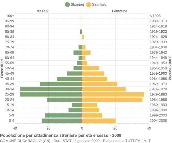 Grafico cittadini stranieri - Caraglio 2009