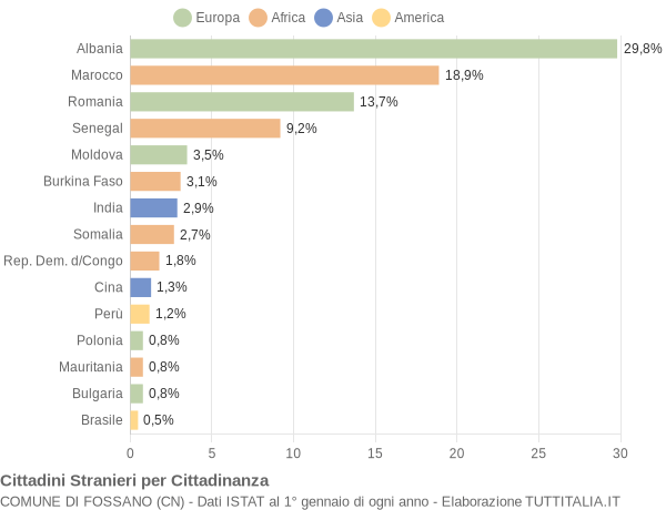 Grafico cittadinanza stranieri - Fossano 2009