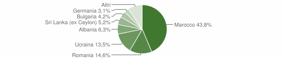 Grafico cittadinanza stranieri - Brusnengo 2010