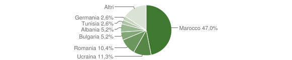 Grafico cittadinanza stranieri - Brusnengo 2013