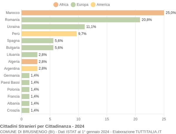 Grafico cittadinanza stranieri - Brusnengo 2024