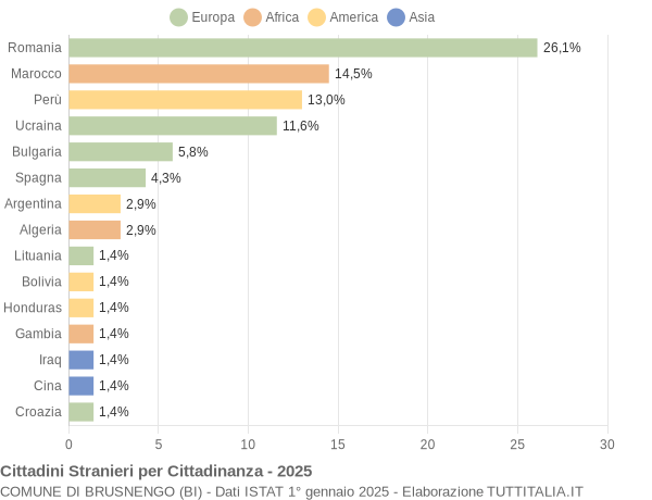 Grafico cittadinanza stranieri - Brusnengo 2025