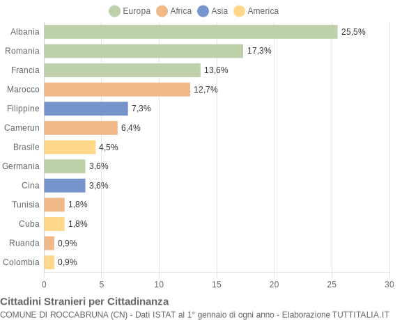 Grafico cittadinanza stranieri - Roccabruna 2013