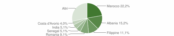 Grafico cittadinanza stranieri - Vignolo 2012