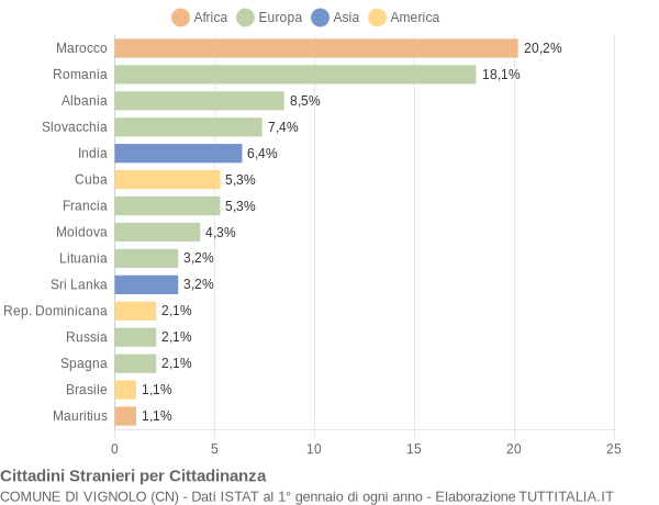 Grafico cittadinanza stranieri - Vignolo 2022