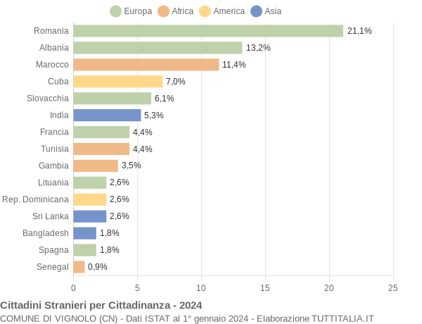 Grafico cittadinanza stranieri - Vignolo 2024