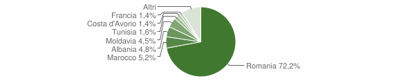 Grafico cittadinanza stranieri - Druento 2008