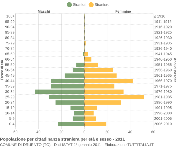 Grafico cittadini stranieri - Druento 2011