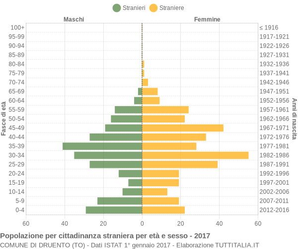 Grafico cittadini stranieri - Druento 2017