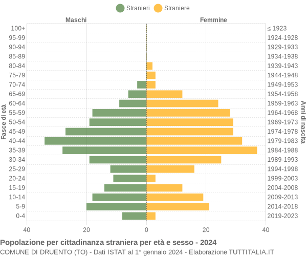 Grafico cittadini stranieri - Druento 2024