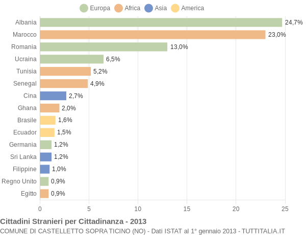 Grafico cittadinanza stranieri - Castelletto sopra Ticino 2013