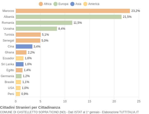 Grafico cittadinanza stranieri - Castelletto sopra Ticino 2015