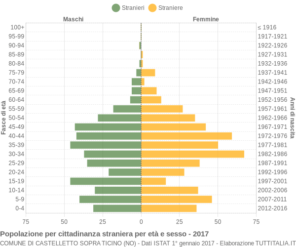 Grafico cittadini stranieri - Castelletto sopra Ticino 2017