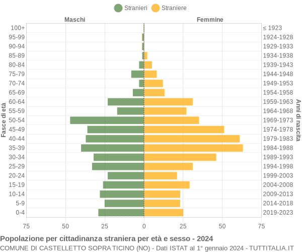 Grafico cittadini stranieri - Castelletto sopra Ticino 2024