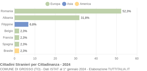 Grafico cittadinanza stranieri - Grosso 2024