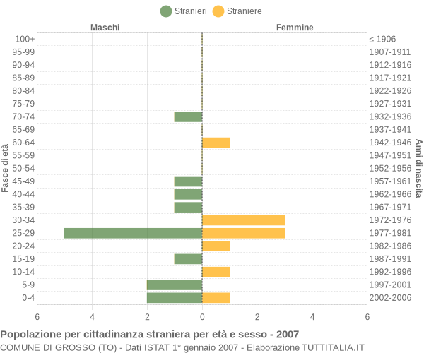 Grafico cittadini stranieri - Grosso 2007