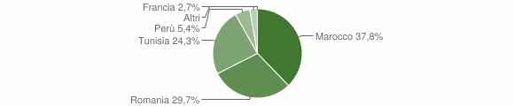 Grafico cittadinanza stranieri - Levone 2009