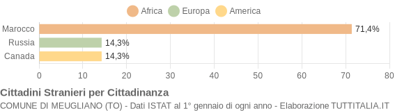 Grafico cittadinanza stranieri - Meugliano 2008