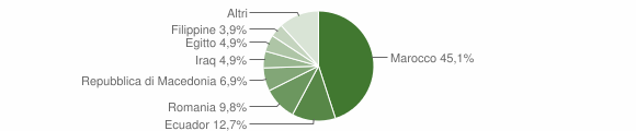Grafico cittadinanza stranieri - Rivalta Bormida 2012