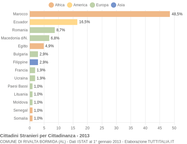 Grafico cittadinanza stranieri - Rivalta Bormida 2013