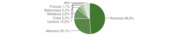 Grafico cittadinanza stranieri - Piedimulera 2013