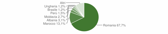 Grafico cittadinanza stranieri - Poirino 2010