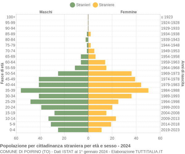 Grafico cittadini stranieri - Poirino 2024