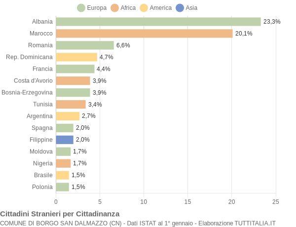 Grafico cittadinanza stranieri - Borgo San Dalmazzo 2005