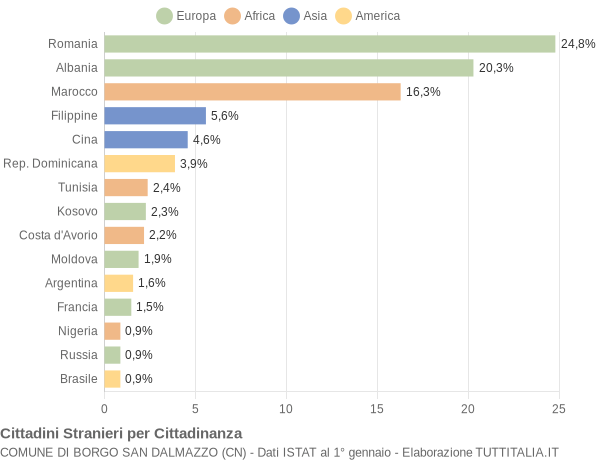 Grafico cittadinanza stranieri - Borgo San Dalmazzo 2013