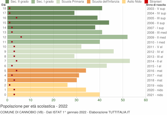 Grafico Popolazione in età scolastica - Cannobio 2022