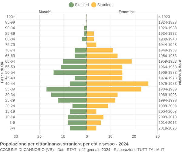 Grafico cittadini stranieri - Cannobio 2024