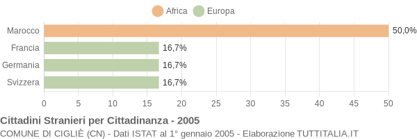 Grafico cittadinanza stranieri - Cigliè 2005