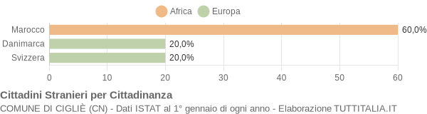 Grafico cittadinanza stranieri - Cigliè 2007