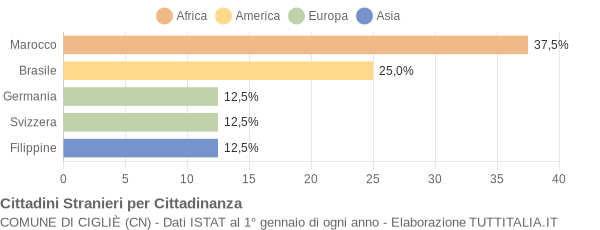 Grafico cittadinanza stranieri - Cigliè 2010