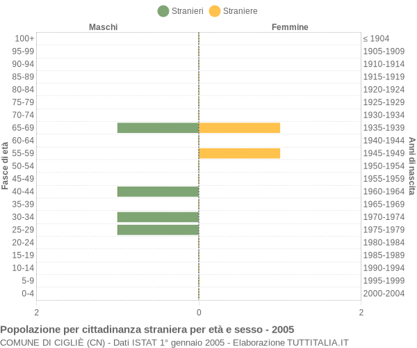 Grafico cittadini stranieri - Cigliè 2005