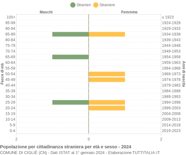 Grafico cittadini stranieri - Cigliè 2024