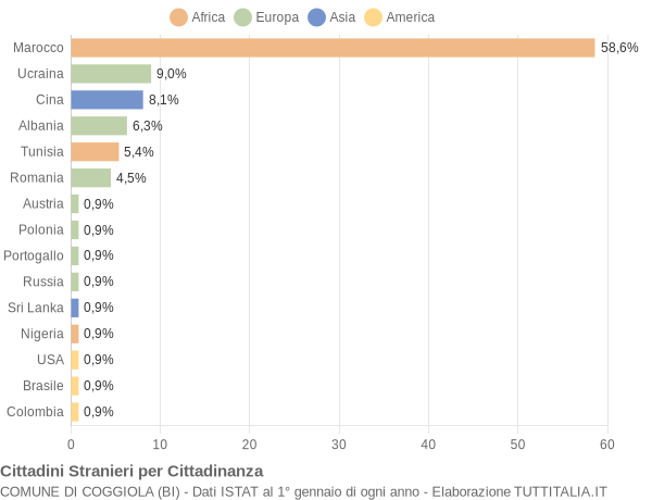 Grafico cittadinanza stranieri - Coggiola 2010