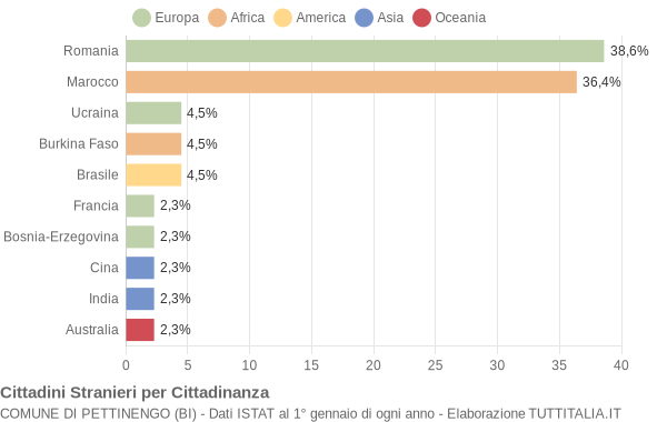 Grafico cittadinanza stranieri - Pettinengo 2011