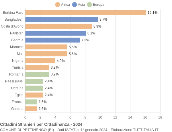 Grafico cittadinanza stranieri - Pettinengo 2024