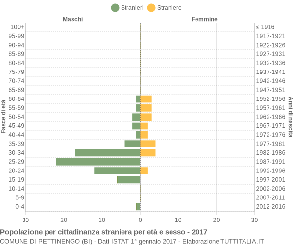 Grafico cittadini stranieri - Pettinengo 2017