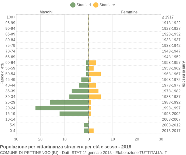 Grafico cittadini stranieri - Pettinengo 2018